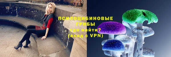 mdpv Арсеньев