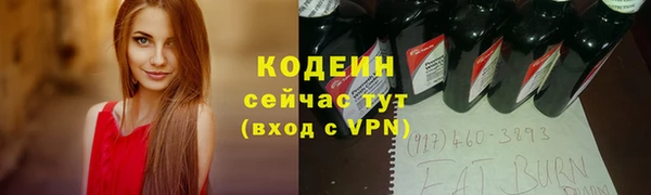 ГАЛЛЮЦИНОГЕННЫЕ ГРИБЫ Аркадак