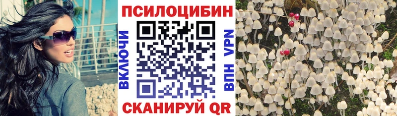 Псилоцибиновые грибы Psilocybe  Армянск 